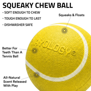 Playology Dog Toys | Squeaky Chew Ball, Chicken Scented Toy – Jumbo, view 2