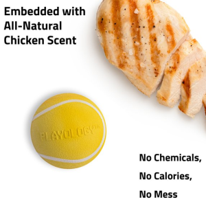Playology Dog Toys | Squeaky Chew Ball, Chicken Scented Toy – Jumbo, view 3